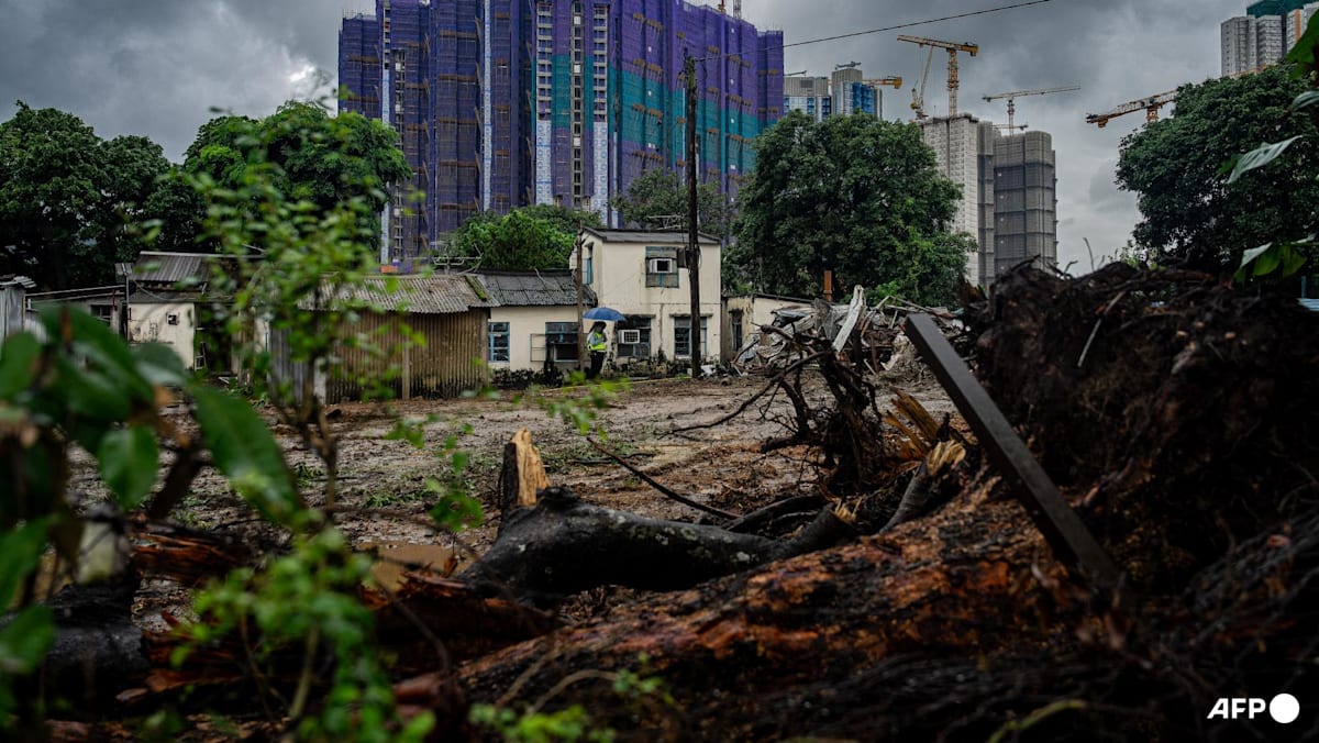 Pembangunan Northern Metropolis di Hong Kong