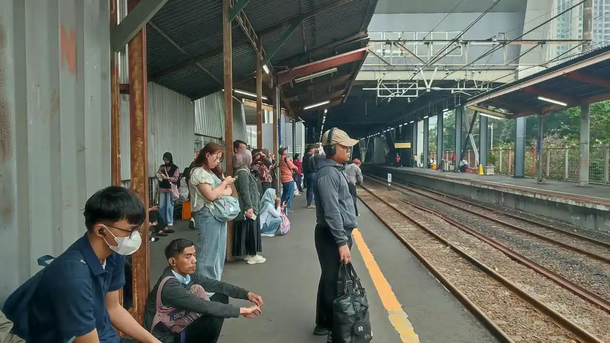 Pohon tumbang di jalur KRL UI Pasar Minggu yang sebabkan keterlambatan